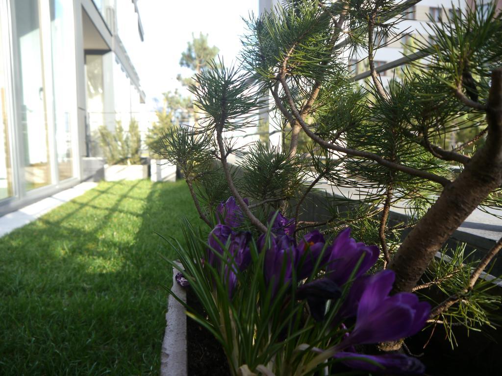 Garden - Cracow Old Town Apartment Krakau